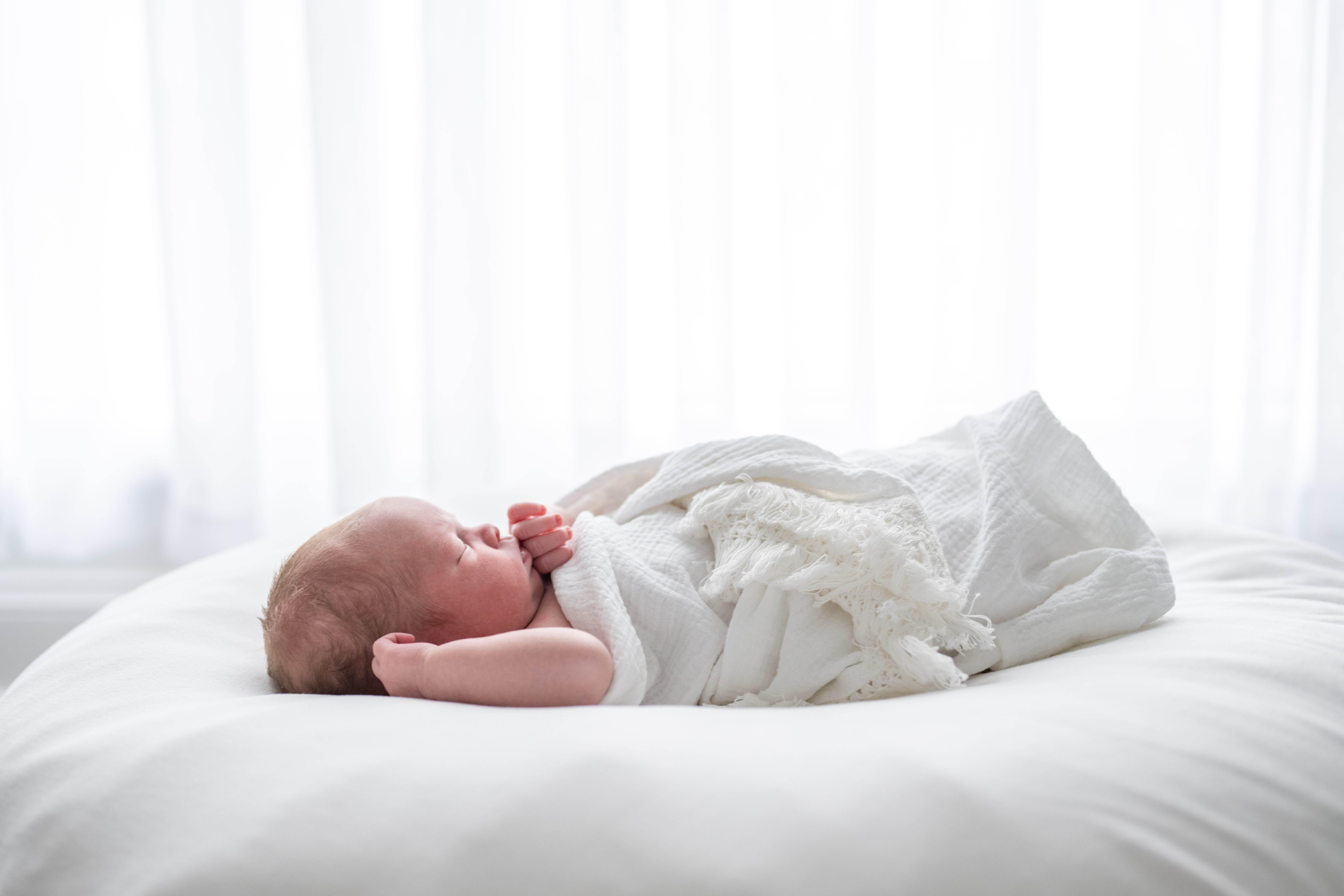 A newborn baby sleeps by a window during her newborn portraits